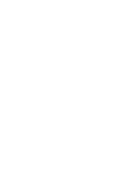 川花 RIVER FLOWER